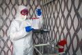 Оперативная сводка по коронавирусу в Севастополе на 24 июля: плюс 156, трое умерли