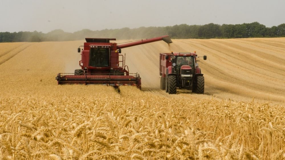 Информацию о ходе уборки зерновых культур в Белогорском районе