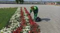 Уход за цветами, кустарниками и деревьями Керчи ведет служба озеленения города