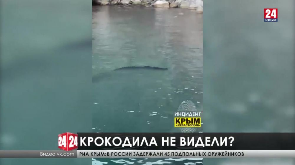 Крокодилы в Чёрном море. Правда или очередной фейк?