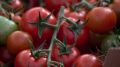 За последние три года в Республике Крым рост производства овощей увеличен на 40% - Андрей Рюмшин