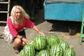 Смотрите на полосы: Как выбрать спелый и безопасный арбуз в августе в Крыму