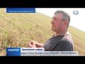 Крымские аграрии намолотили свыше миллиона тонн зерна и зернобобовых