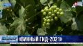 Эксперты Роскачества готовят «Винный гид России-2021»: какие шансы у севастопольских виноделен попасть в каталог?