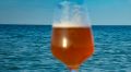 Пивовары в Крыму с начала года произвели 28 млн литров пива