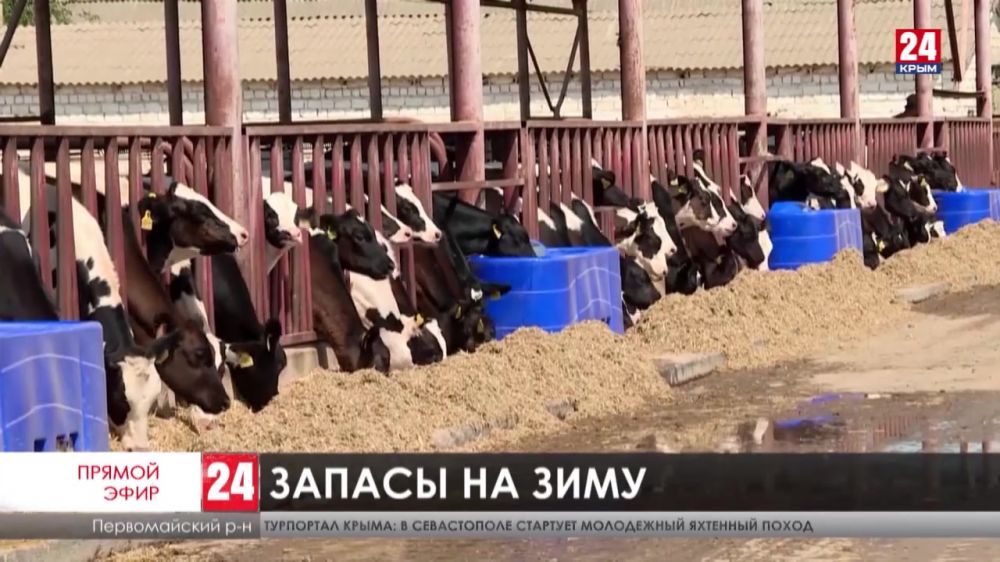 Крымские аграрии заготовят почти 200 тысяч тонн кормов