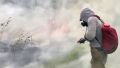 ЧС в Якутии: дым от лесных пожаров в Якутии накрывает регионы России