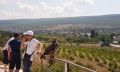 Власти Крыма попросили туристов «стучать» на фотоживодеров