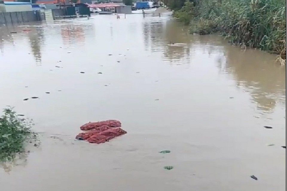 Ливень в Керчи затопил оптовый рынок: По улице поплыли арбузы и дыни