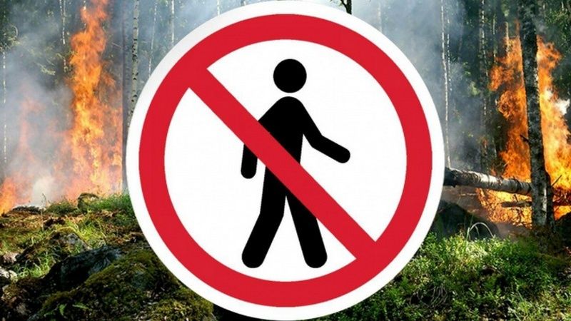 На территории земель лесного фонда Республики Крым продлено ограничение пребывания граждан в лесах и въезда в них транспортных средств
