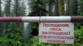 МЧС Республики Крым информирует: Минприроды Крыма продлило ограничение пребывания граждан в лесах и въезда в них транспортных средств