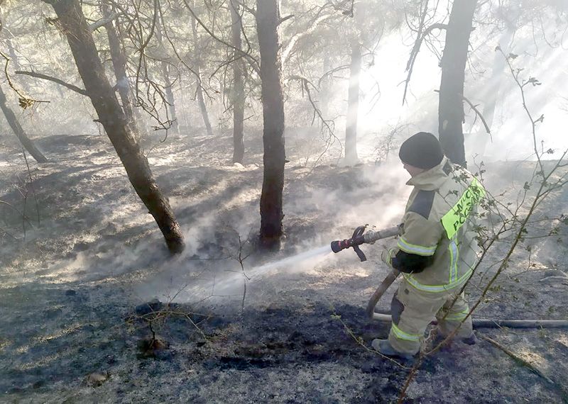 Устранение последствий лесных пожаров и подтоплений — на личном контроле президента