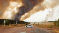 Пожар в нацпарке: в Самарской области горят уникальные леса - фото, видео