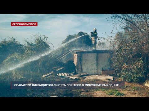 Пять пожаров на открытой местности ликвидировали в Севастополе в выходные