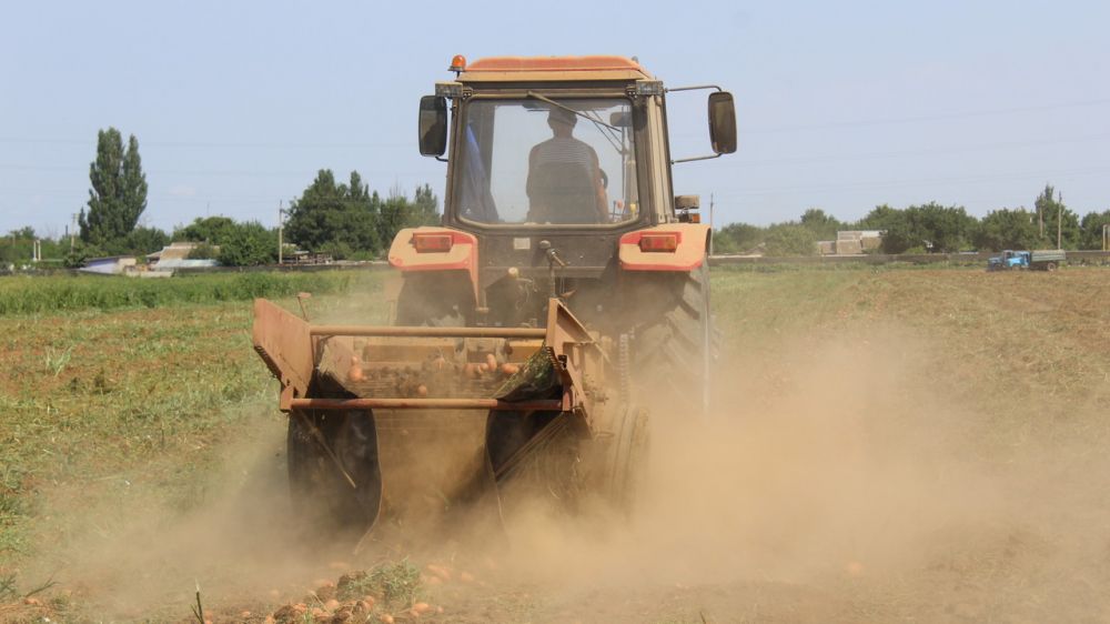Крымские аграрии в этом году планируют собрать порядка 130 тысяч тонн овощей открытого грунта – Андрей Рюмшин