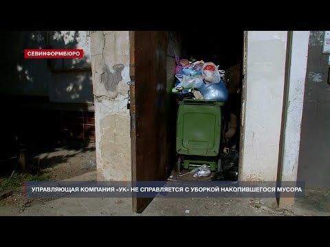Вонь и мёртвый Микки-Маус: проспект Острякова в Севастополе тонет в мусоре