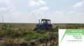Минприроды Крыма продолжает реализацию регионального проекта «Сохранение лесов»