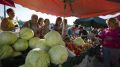 Более 100 фермеров представят свою продукцию на ярмарках в Симферополе