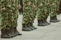 В армии планируется увеличить численность резервистов