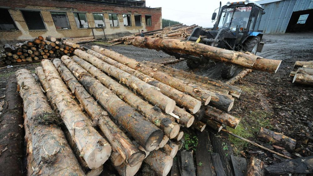 Москаль предрек Украине переход на дрова и сено