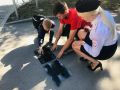 Сотрудники крымской Госавтоинспекции провели профилактическое мероприятие возле столичных школ