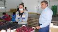 Андрей Рюмшин: Аграрии Крыма собрали 110 тонн ялтинского лука