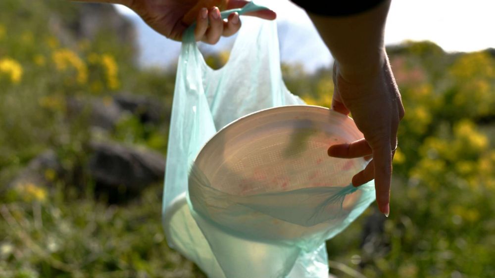 Когда пластиковый пакет экологичнее бумажного - ученые