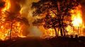 В 2021 году на территории Ялты зарегистрировано 136 пожаров