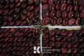 Аграрии Крыма собрали 110 тонн ялтинского лука