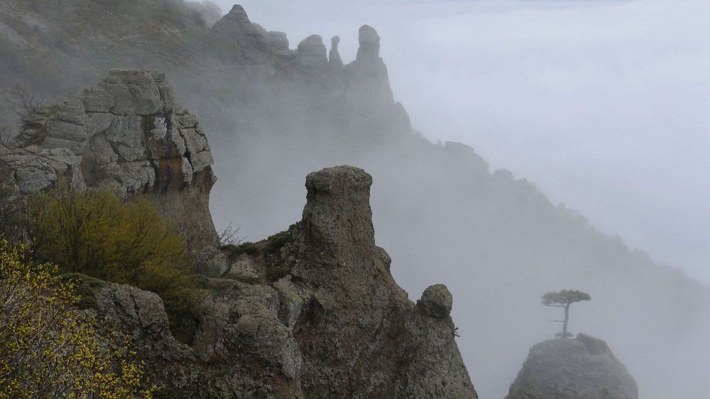 Суббота в Крыму: туман и небольшой ночной дождь