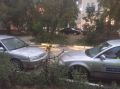 В Симферополе сухая ветка упала на машины