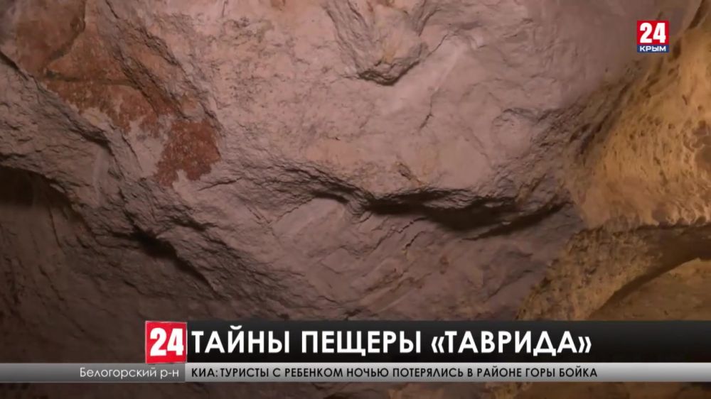 Останки древних животных обнаружили в пещере «Таврида»
