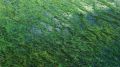 Гидросамолет с упал в болото в ХМАО: что известно