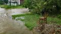 Пострадавшие от наводнений в Крыму начали получать выплаты за имущество