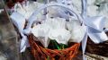 В Керчи подведены итоги благотворительной акции "Белый цветок"