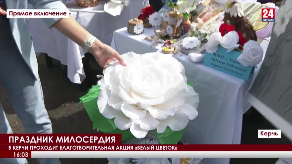В Керчи проходит благотворительная акция «Белый цветок»