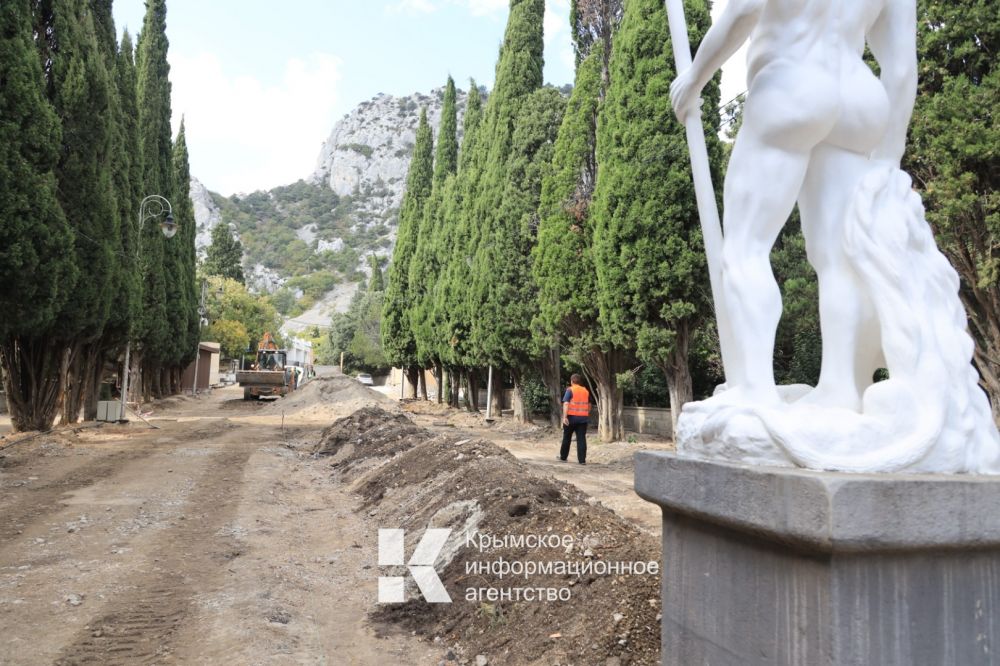 В рамках реконструкции Симеизского парка реализуют проект «чистое небо»