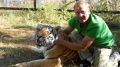 Зубков прокомментировал инцидент с тигром в "Тайгане"