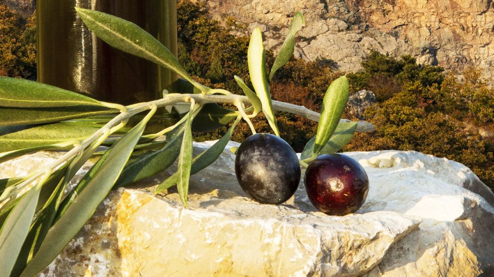 Продукция бренда «Крымская оливка» презентуется в рамках Всероссийской агропромышленной выставки «Золотая осень-2021» - Андрей Рюмшин