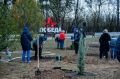 В севастопольском парке Победы планируется установить бюст Василию Лановому