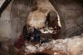 В Крыму затянулось открытие пещеры Таврида с останками гигантских страусов и саблезубых кошек
