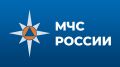 МЧС России проведет онлайн - опрос по вопросам профилактики коррупции