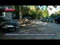 Жители двух домов на улице Вакуленчука просят упорядочить парковку во дворе
