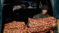 Эксперт объяснил причину роста цен на картофель в России