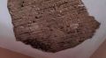 Здание крымского кожвендиспансера обследуют после падения фрагмента потолка на пациентку