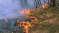 Соблюдайте меры пожарной безопасности при посещении лесов!