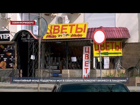 Гарантийный фонд поддержки МСП в Севастополе помогает бизнесу в пандемию