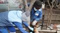 Специалисты ГБУ РК «Нижнегорский районный ВЛПЦ» продолжают проводить вакцинацию собак и кошек против бешенства