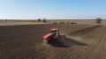 В Республике Крым под урожай 2022 года засеяно более 340 тысяч гектаров озимых зерновых - Андрей Рюмшин