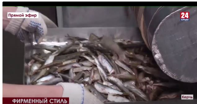 Рыбоконсервный завод в Керчи наращивает темпы производства